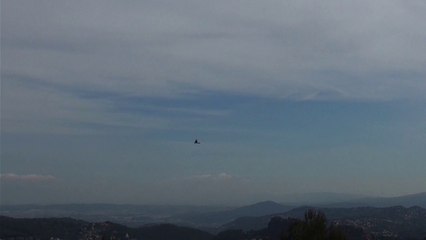 Así transcurrió el día 17/4/2015