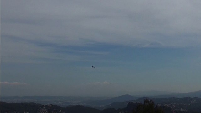 Así transcurrió el día 17/4/2015