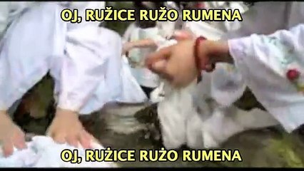 Oj, Ružice Rumena