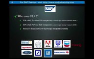 SAP - What is SAP?