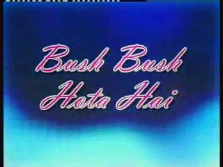 Bush Animation - Very funny in urdu language
