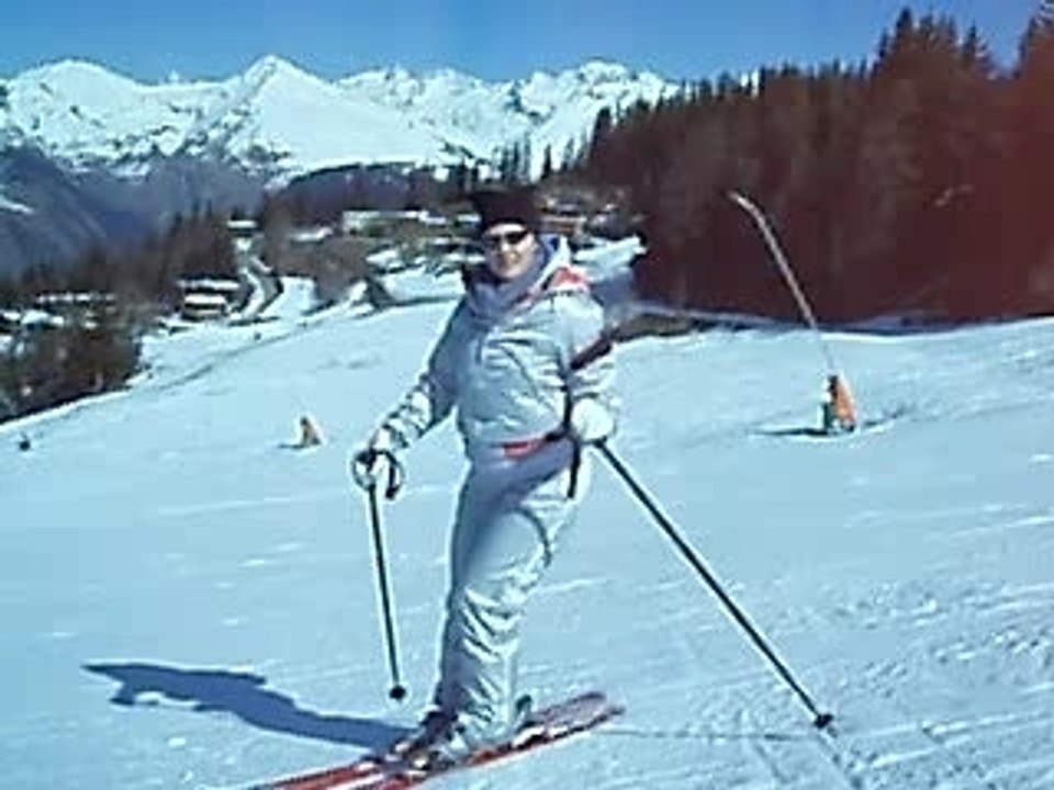 SKI ARCS 2007