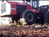 Me on the Prentice 2670 Timber Feller Buncher