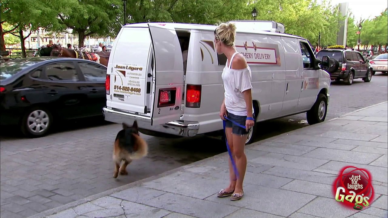 Dog Escape Prank