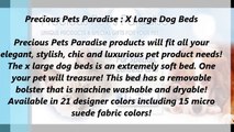 Precious Pets Paradise : X Large Dog Beds In FL