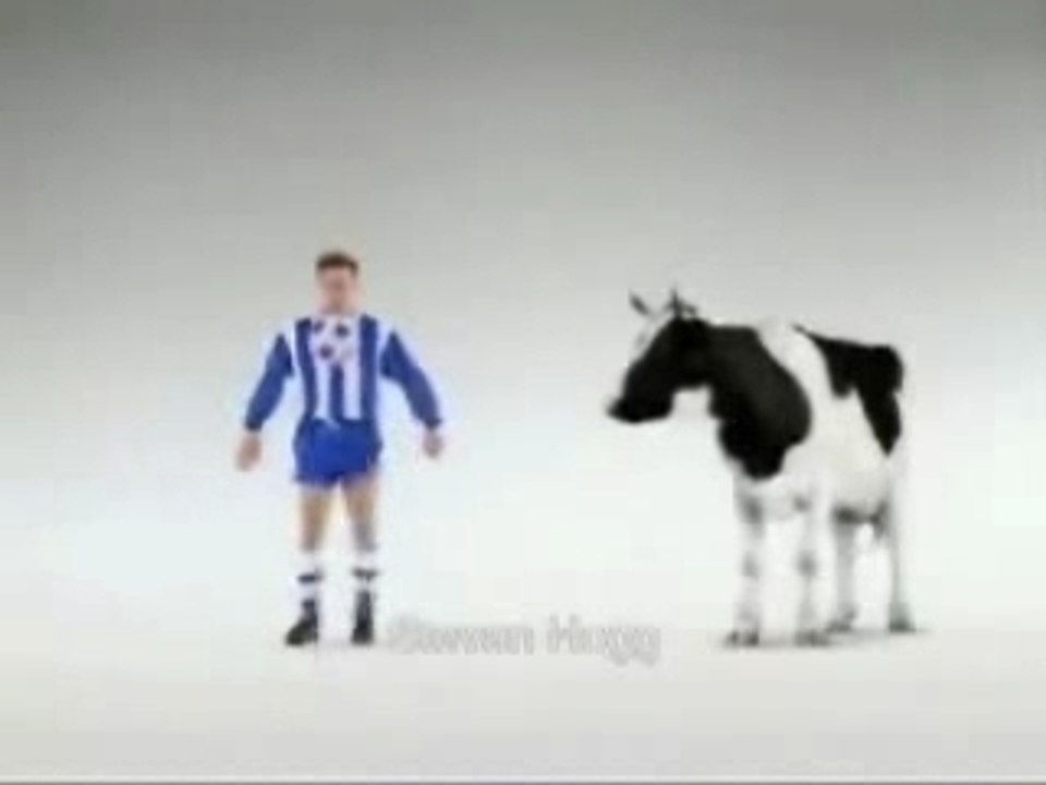 FOOTBALL: SUPER VACHE!