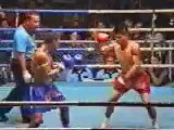 Funny Muay Thai Boxing Boys