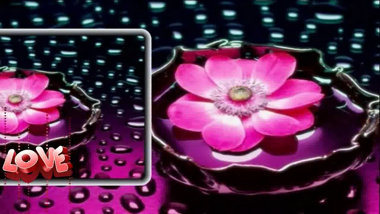 Şevval Sam & Arif Kabadayı - Pirlere Niyaz Ederiz [2015]