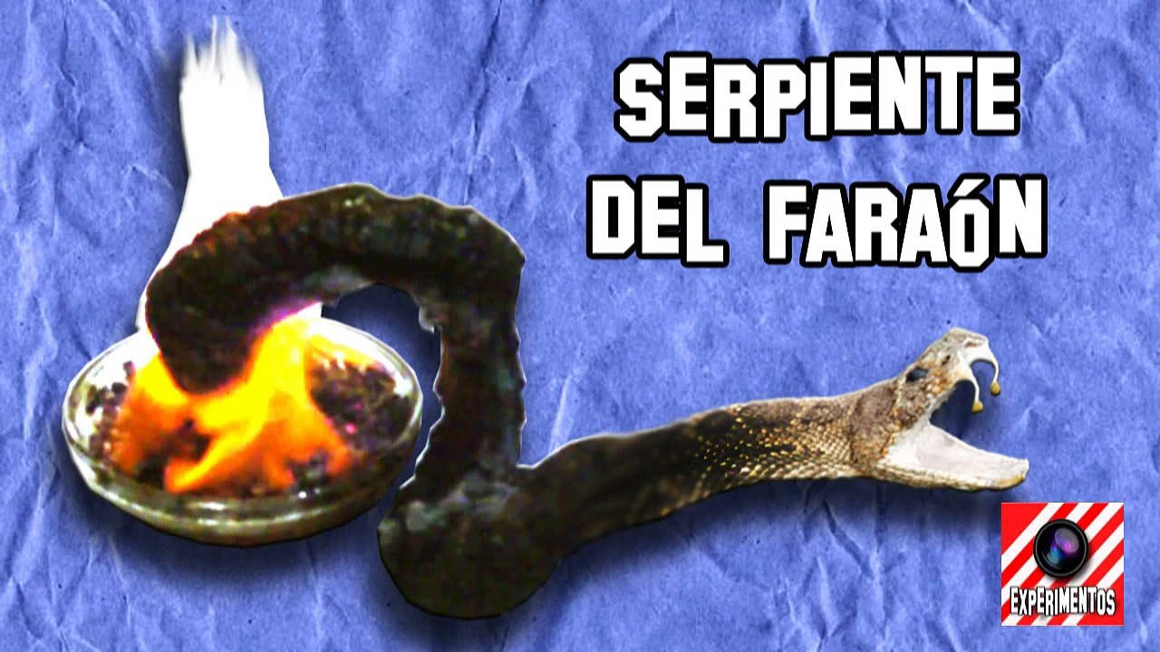 Comment faire Homemade expériences Serpent Pharaon