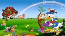 Donald duck cartoons hindi Donald Duck 1 Hour Bumper Cartoon Collection 2014