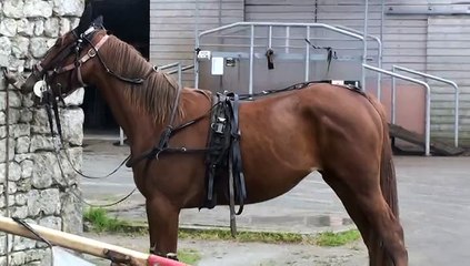 PREPARATION DE DEESSE DE BOMO ET DAME DE DYPP