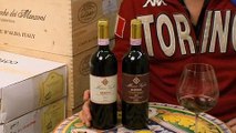 Piemonte Italian Wines : Barolo Piemonte Wines