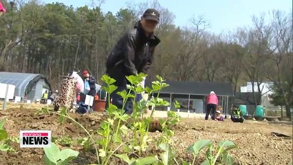 Seoul city goverment to activate 1,800 urban farms