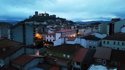 El mirlo canta al amanecer