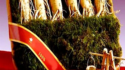 Cảm xúc hạnh phúc khi trên tay cầm củ nhân sâm chất lượng!