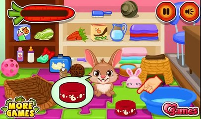 Animaux Jeux - jeu mignon soins Lapin