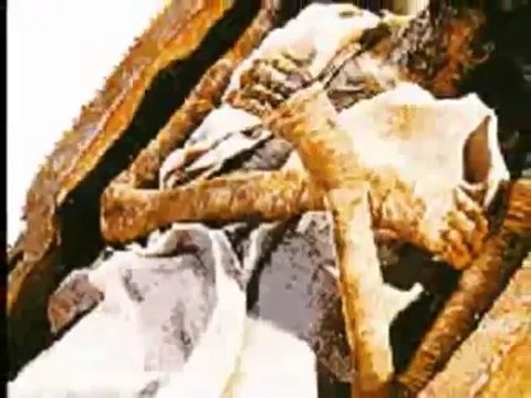 Des chercheurs scientifique converti a l'islam-pourquoi