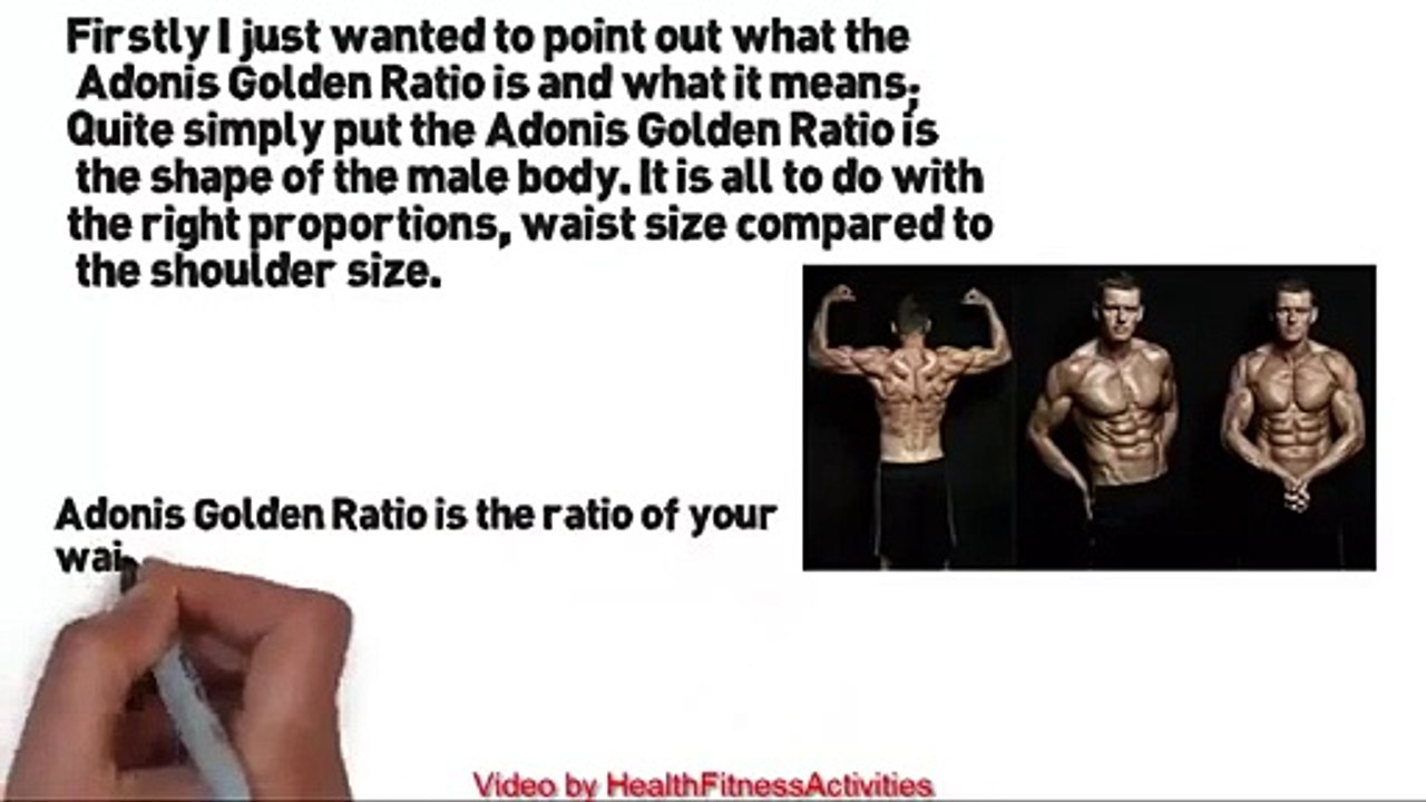 How To Body  Build The Body Adonis Golden Ratio Review