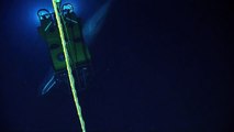 Rare Sperm Whale Encounter with ROV - Nautilus Live