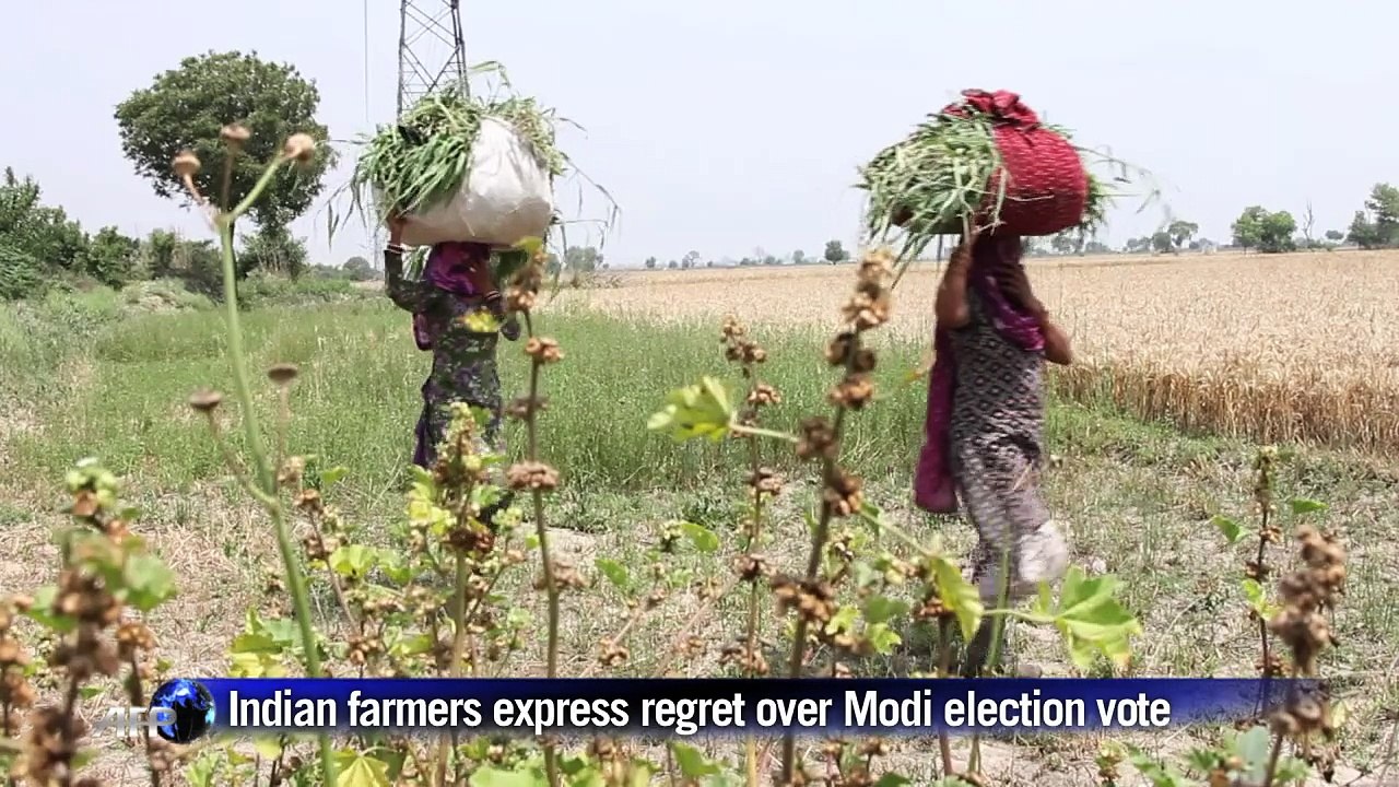 India's powerful farming lobby turns on Modi