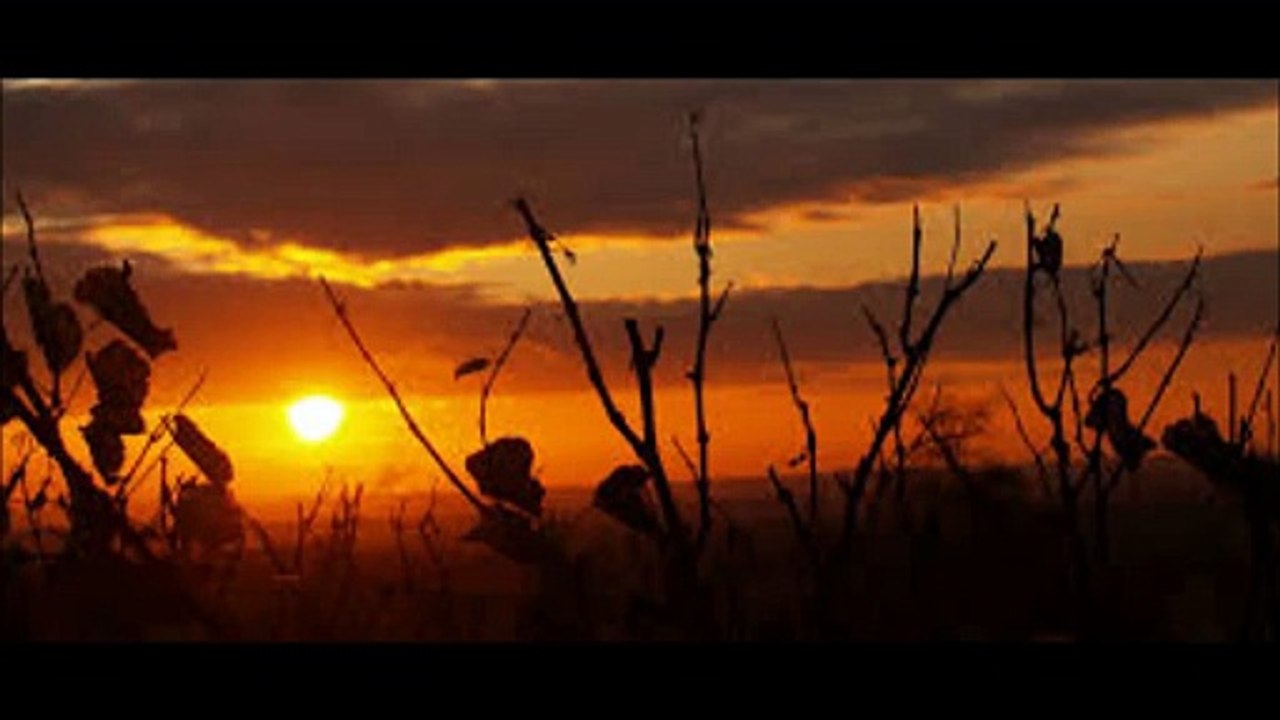 Forseti-Am Abend