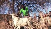 In drought-ravaged Kenya, education is the key to a brighter future