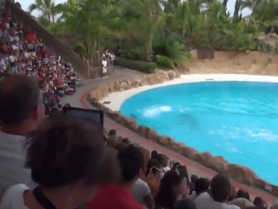 amazing wheles ...SAANWAL HH MOBILES