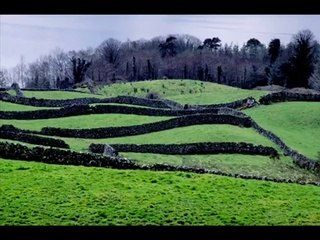 Neil Diamond - Coming to America