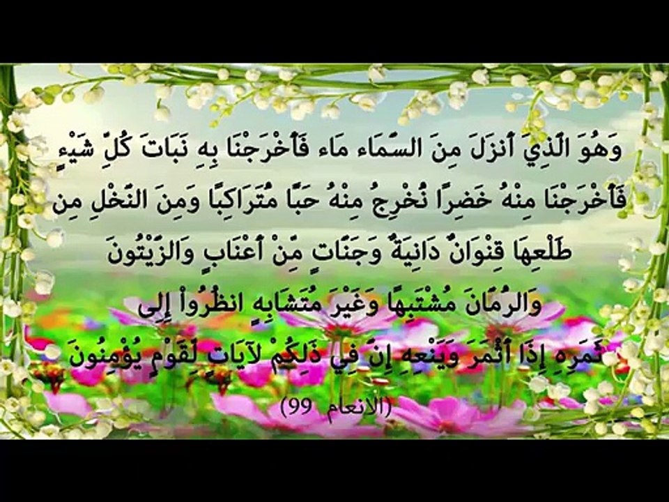 الاسلام دين الجمال -7-  الاهميه التي اعطاها الق...