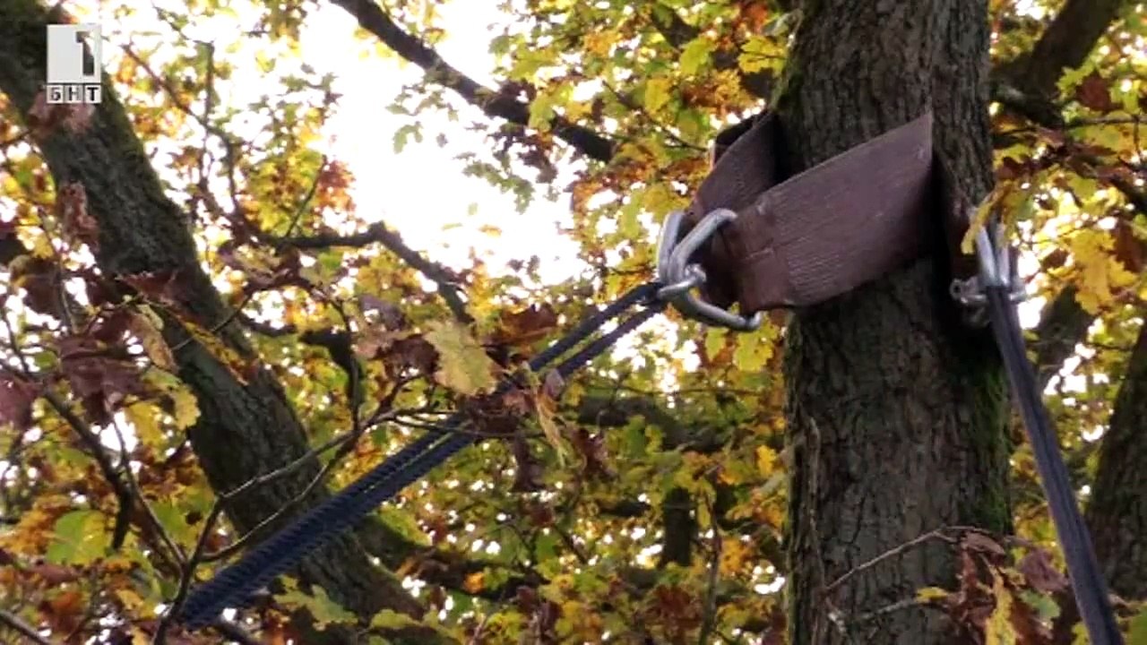 Палатка в короните на дърветата