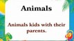 animal kids-animals-english words-learn alphabets-how to learn vocabulary-learn english-learn words