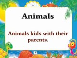animal kids-animals-english words-learn alphabets-how to learn vocabulary-learn english-learn words