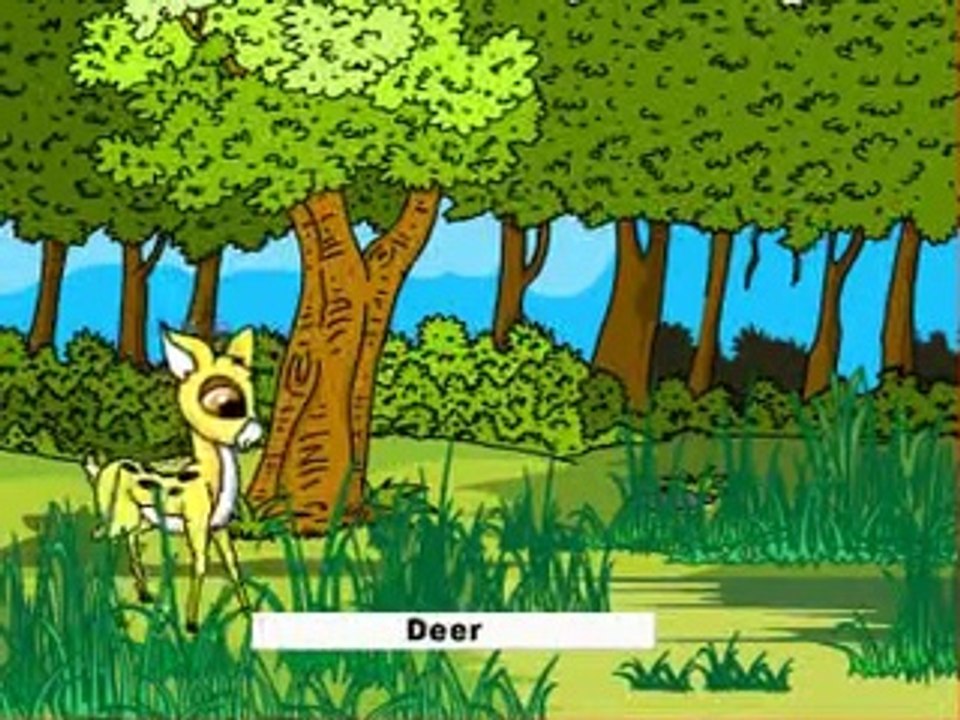 animals-animals names-animals name in english-learn words-how to learn words-alphabets and words