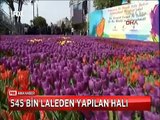 Sultanahmet Meydanında 545 bin canlı laleden yapılan muhteşem dev halı büyüledi