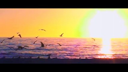 videoplayback - красивые виды