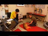 Hundekrankengymnastik / Hundephysiotherapie am kranken Hund