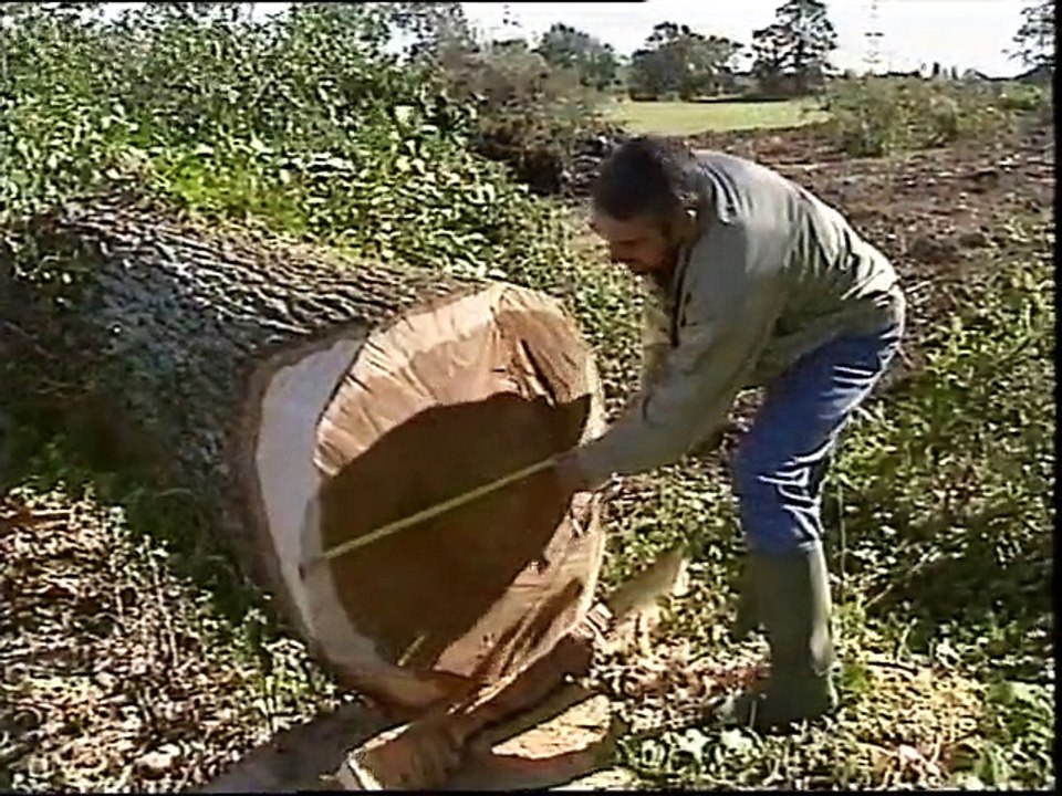 Hermione - La vie d'un couple - juin 1999