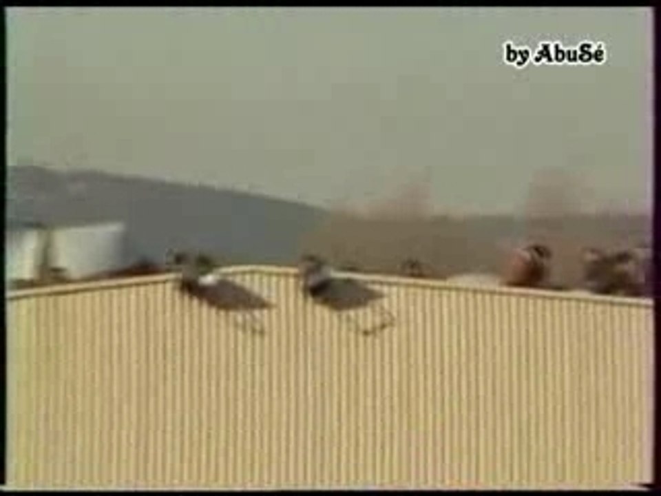 Teknival2000.2emeparty