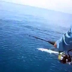 يا فرحة ما تمت