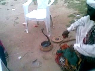 Snack Dance Romantic And Drizzling