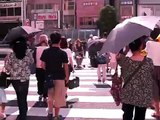 Japanese Umbrellas:  Kasa or Higasa?
