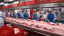The Booming Meat Industry - Germany the world's second biggest pork exporter | Made in Germany