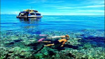 Havelock Island - Andaman Islands, India
