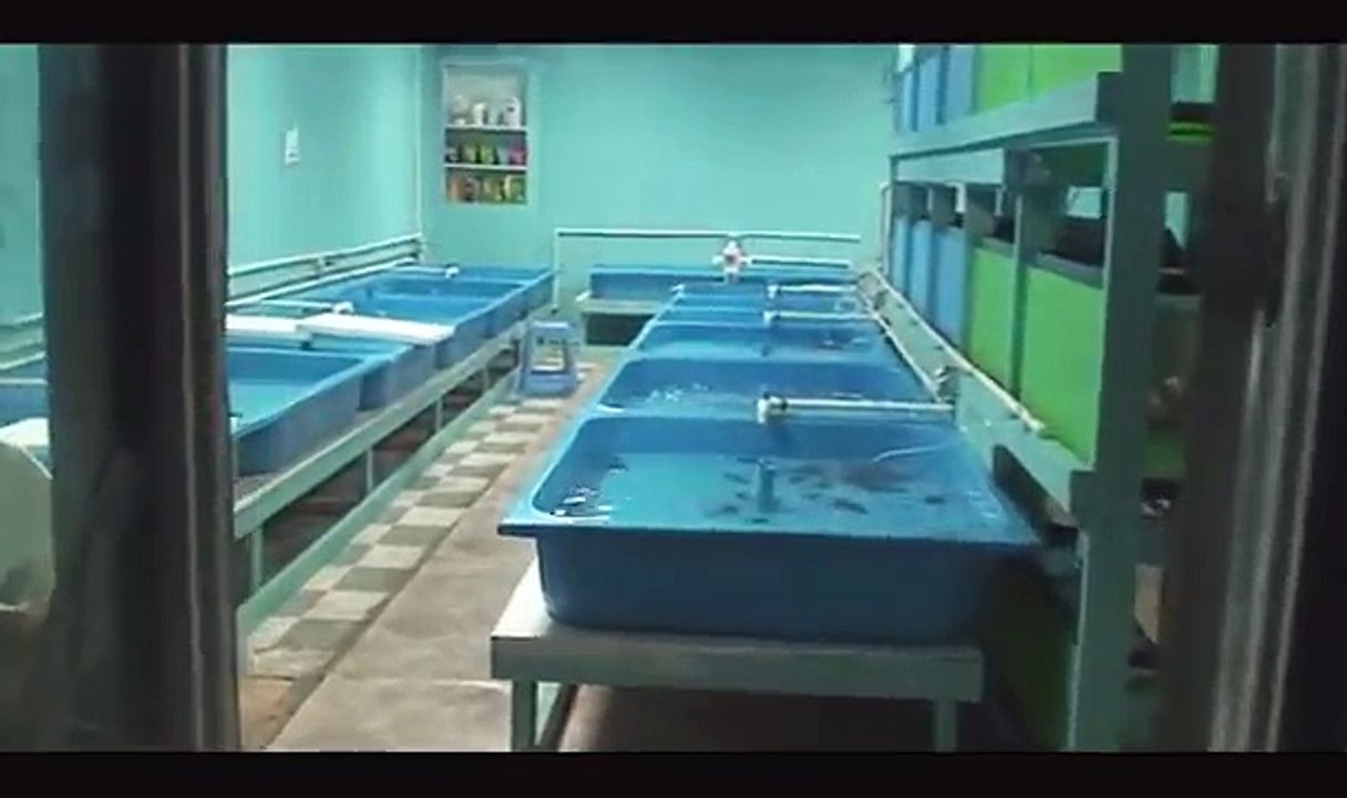 Ranchumaniax.com Mini Farm