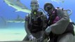 Hand Feeding Caribbean Reef Sharks