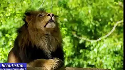 beautiful video must share to your dear one.