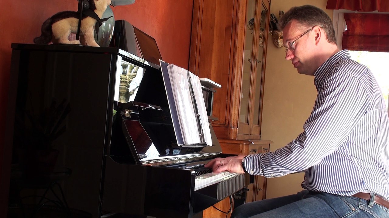 Patrick bruel , j'te l'dis quand même version piano solo concert