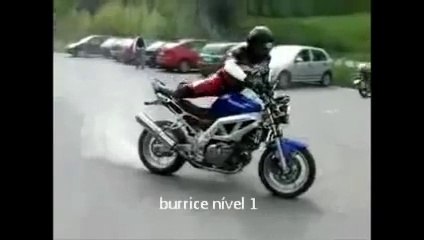 Os mais burros e idiotas do mundo