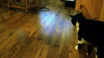 Gratouilles Ratatouille 18-04-15