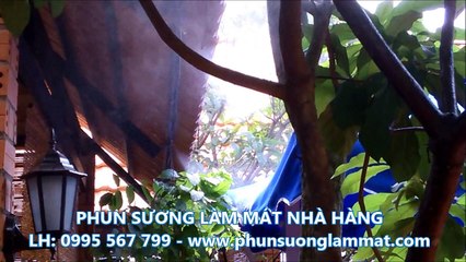 Thi cong phun suong tuoi cay